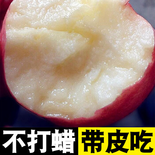 烟台红富士脆甜多汁新鲜苹果
