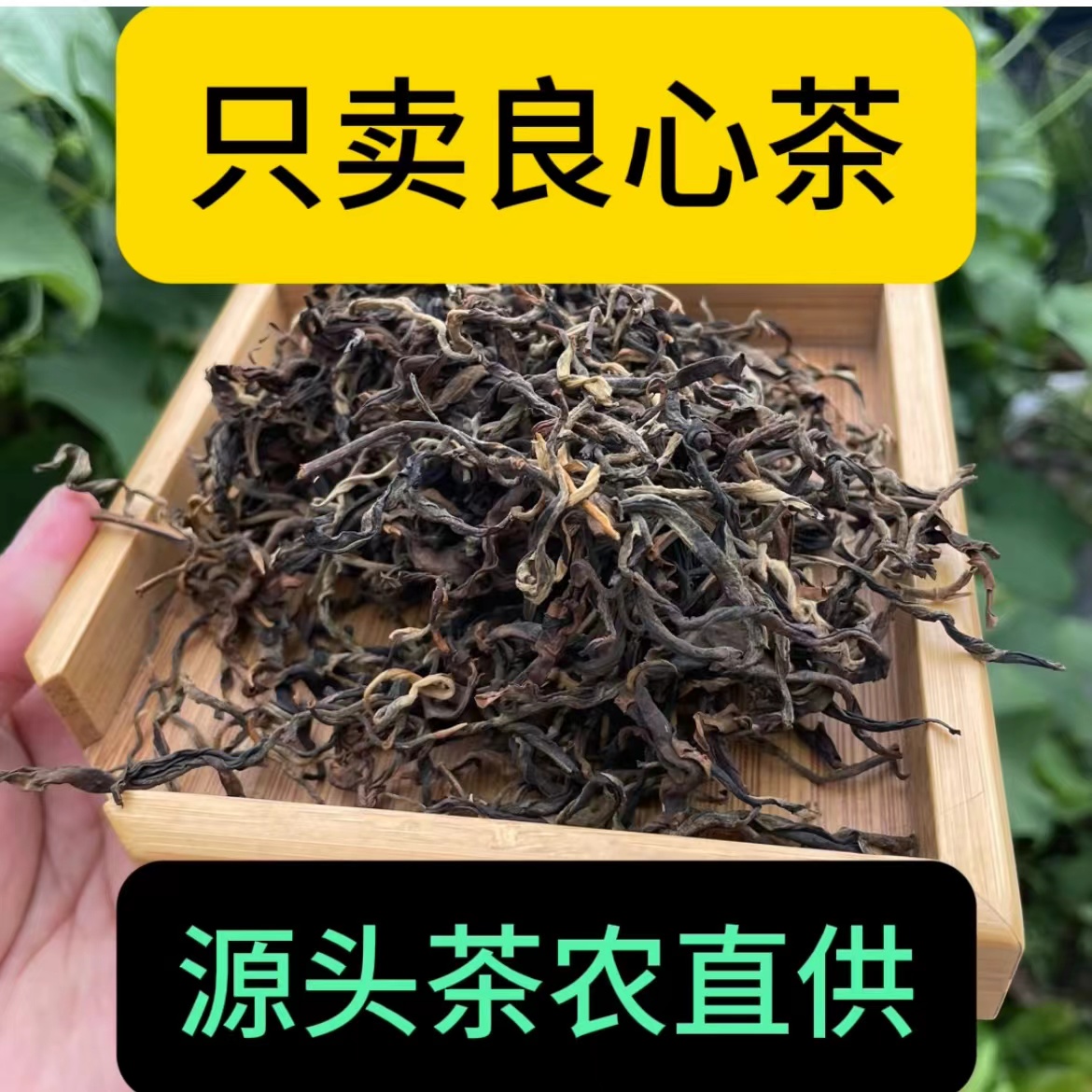 茶农直供 小户赛古树 23年头春 散茶生茶100克  山头纯料普洱茶