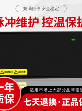 适用于森地电动车电瓶通用充电器 4812AHV60V72V64V20AH30A40AH