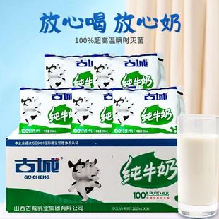 山西特产古城纯牛奶多规格百利包200ml袋装全脂灭菌半成品早餐奶