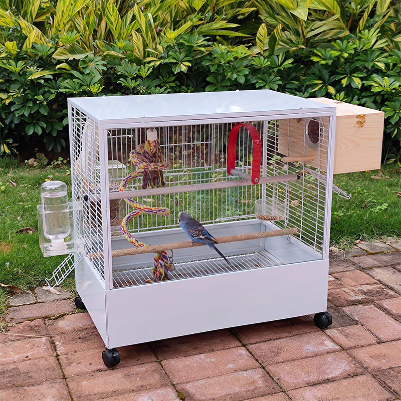 钢化玻璃透明观赏鸟笼鹦鹉笼