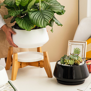 北欧ins简约多肉花盆陶瓷透气带托盘大号个性 绿萝蝴蝶兰盆大口径