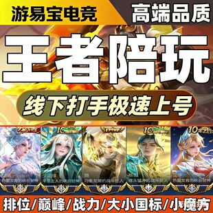 王者代练王者代打巅峰赛代打省标金标国标市标王者荣耀陪玩上分