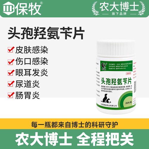 宠物头孢羟氨苄片狗狗猫咪尿路感染皮肤病伤口脓皮中耳消炎感冒药