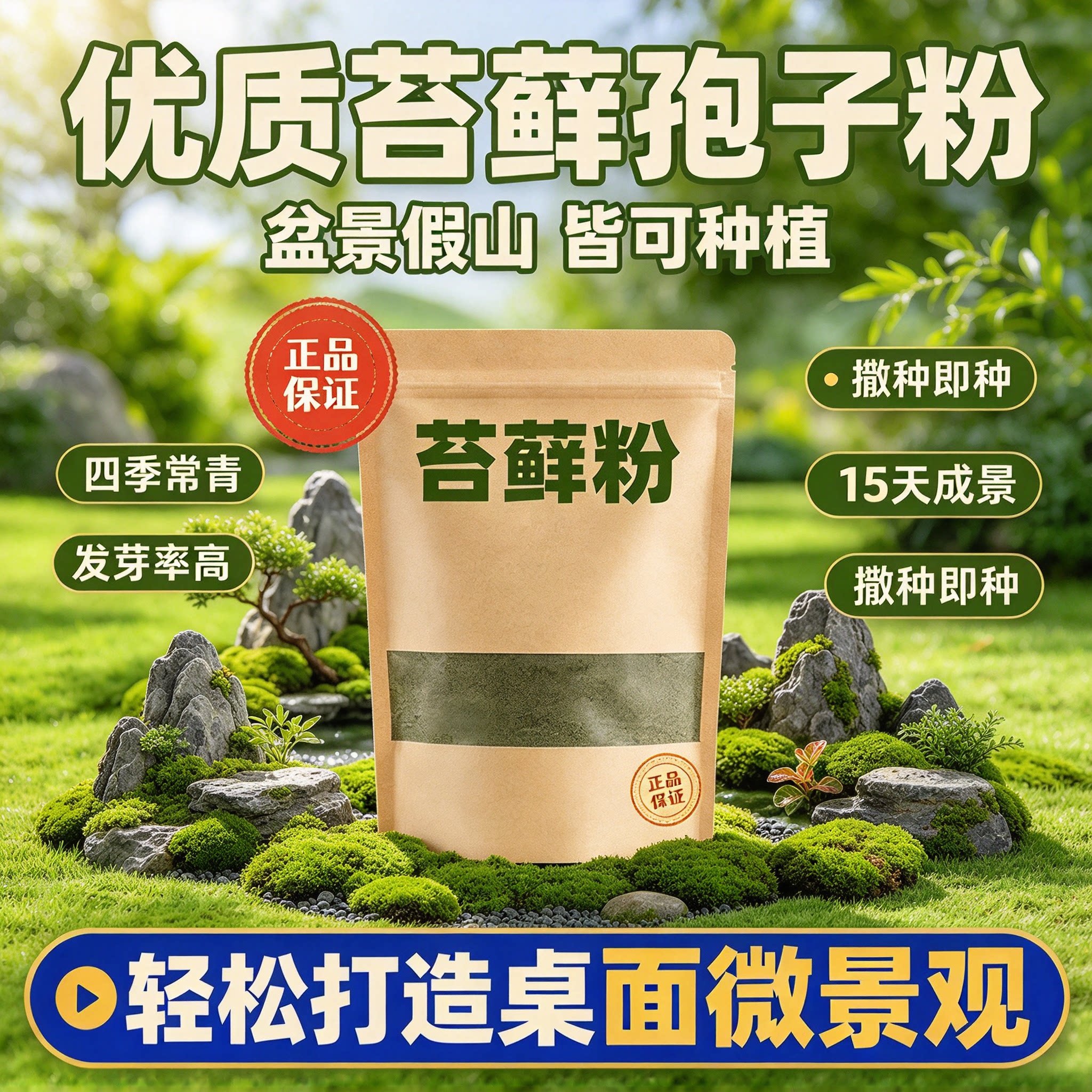 苔藓青苔植物种子吸水上水石盆栽假山盆铺面微景观孢子粉四季鲜活