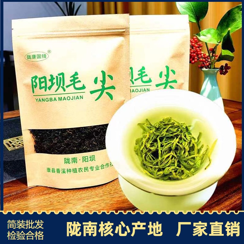 甘肃省陇南高山毛尖康县绿茶新茶