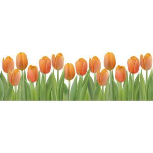 商场橱窗踢脚线花草贴纸布置花卉装饰玻璃贴纸女装店窗花静电贴画