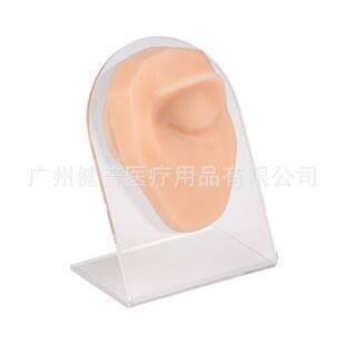左眼模型 仿真人体眼睛模型 缝合练习模型 穿孔打针展示模型