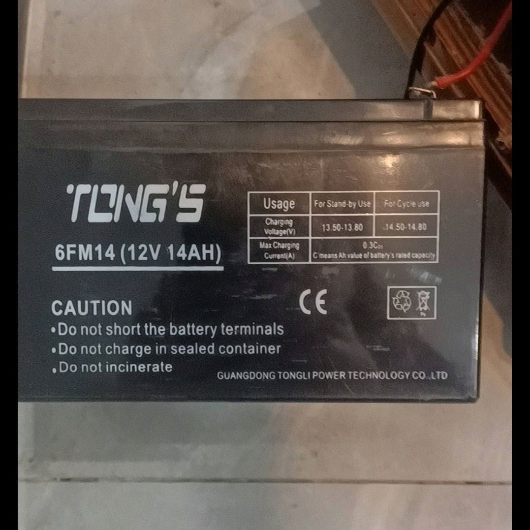 TONG'S电瓶 6FM14 蓄电池
