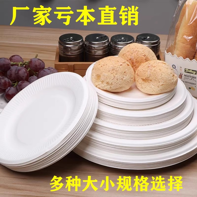 一次性加厚餐盘家庭聚餐绘画盘