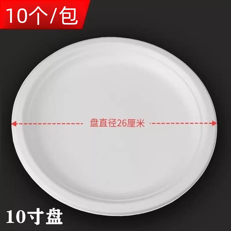 一次性加厚纸盘幼儿园手工绘画空白碟子烧烤蛋糕餐盘10寸圆盘
