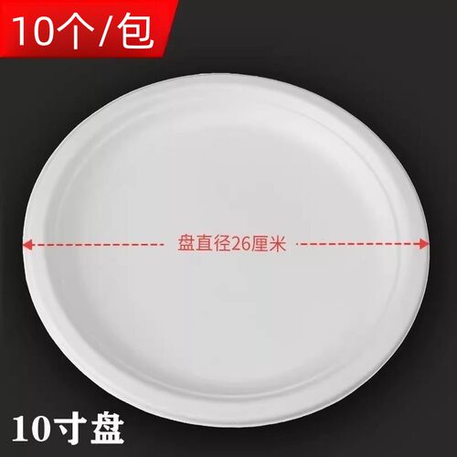 一次性加厚纸盘幼儿园手工绘画空白碟子烧烤蛋糕餐盘10寸圆盘