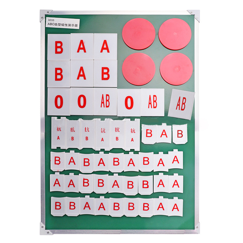 ABO血型磁性演示板教学模型