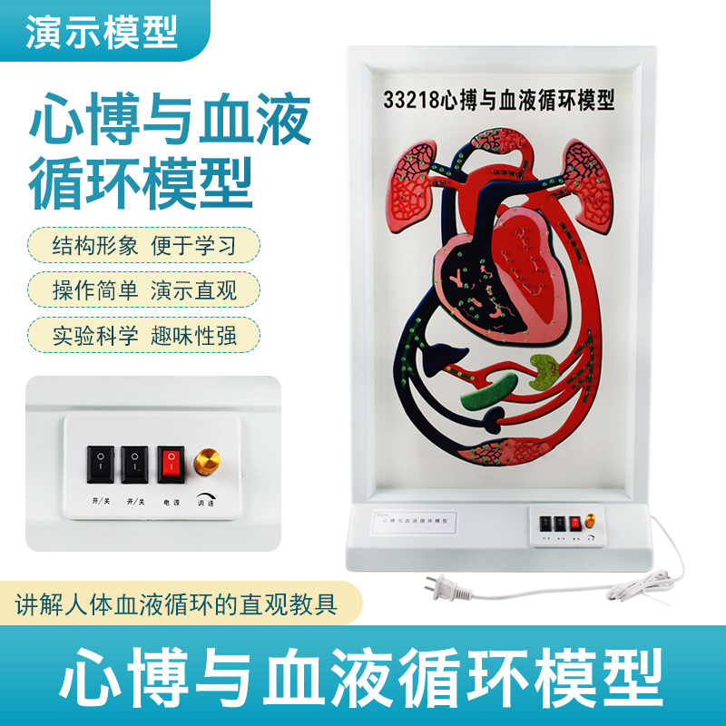 可普心博与血液循环模型