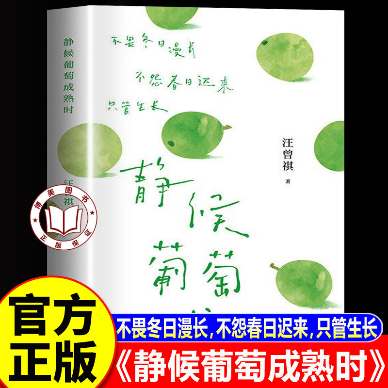 【认准正版】静候葡萄成熟时 汪曾祺散文精选口碑随笔力作 文坛大家的生活散文精选
