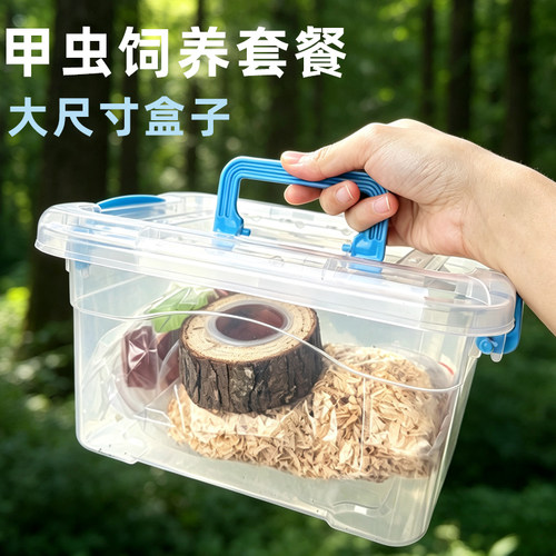 成虫独角仙甲虫甲锹昆虫锹甲饲养套餐组合手提收纳箱果冻台木屑