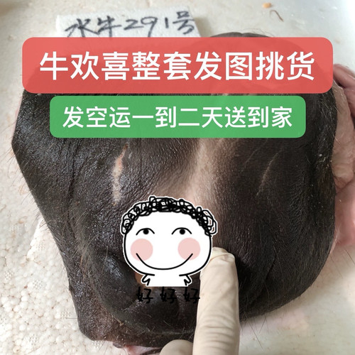 牛欢喜整套保证完整不割破