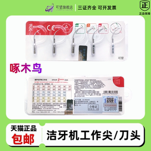 正品小鸟洁牙机工作尖牙科齿科正品刀头去牙结石 工作尖配件