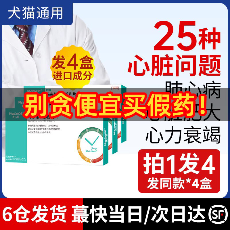 宠物肺心康狗狗肥大猫咪马来酸