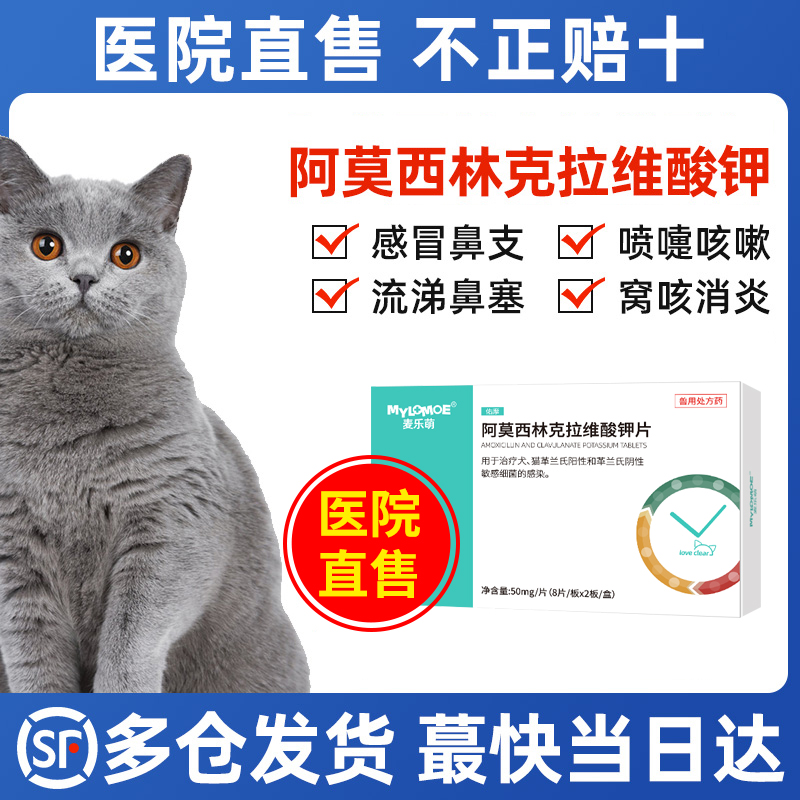 阿莫西林克拉维酸钾宠物猫咪消炎