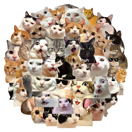 50张/套可爱搞笑猫咪PET透明贴纸笔记本水杯电脑平板个性装饰贴纸
