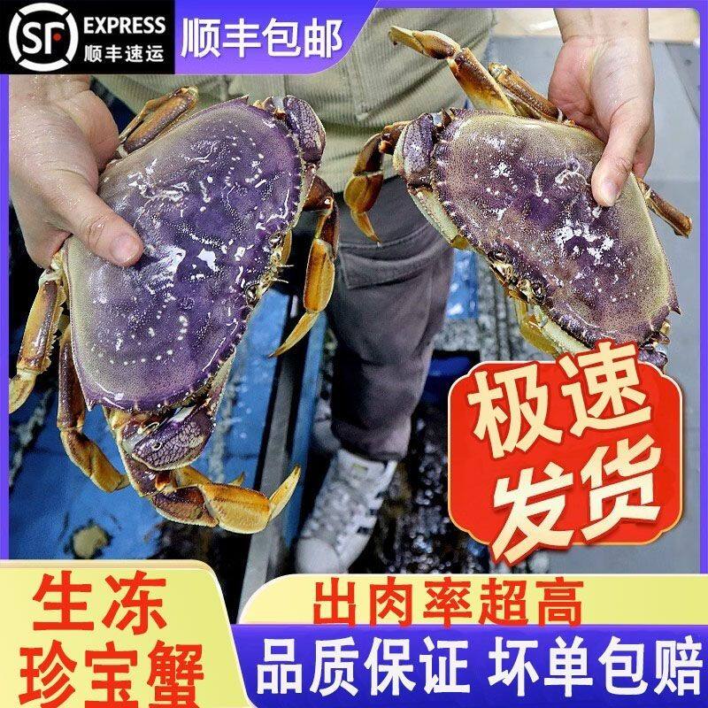 进口新鲜珍宝蟹鲜冻整支面包蟹特大规格肉多膏肥宴席硬菜顺丰包邮