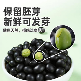 大食唠东北绿芯小黑豆打豆浆泡醋杂粮农家自产800g小粒黑豆黑小豆