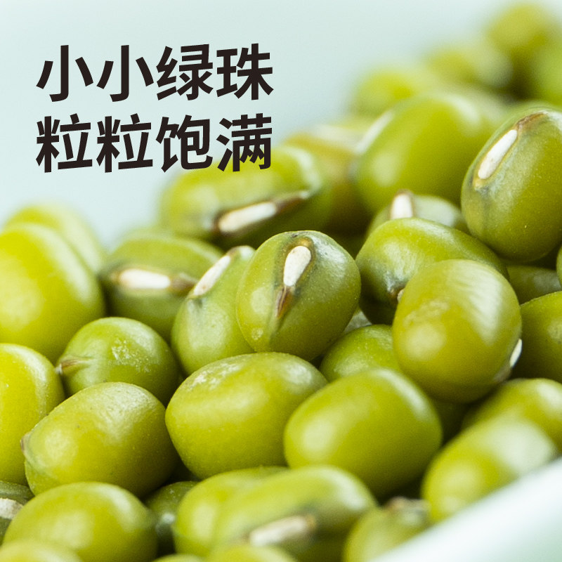 新货2025年绿豆发豆芽专用豆子东北发绿豆芽豆子商用农家新鲜发芽