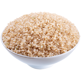 有机糙米2025年新米正宗官方旗舰店胚芽保留低脂杂粮米粗粮饭