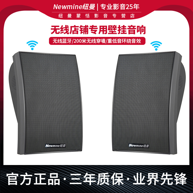 纽曼D12无线壁挂音响店铺用商用餐厅饭店奶茶店学校广播背景音箱