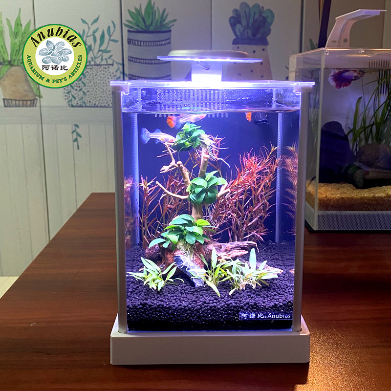 阿诺比16超白玻璃迷你小型水族箱海水造景桌面自循环热带鱼虾箱