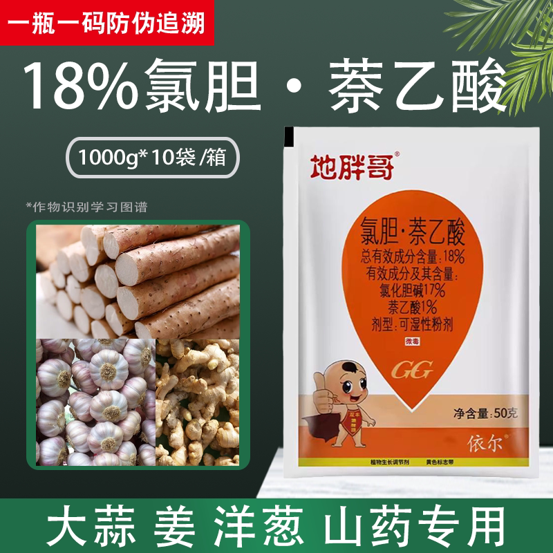 国光地胖哥氯胆奈乙酸萘乙酸红薯土豆莴笋山药洋葱地下根茎膨大素