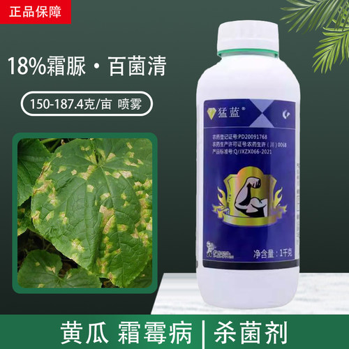 科利隆猛蓝霜脲百菌清农药杀菌剂