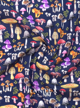 ⭐️ 蘑菇丛林藏蓝色 展示链接／观看直播录屏／联系客服上定制链接