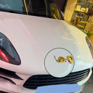 我的刀盾抖音网红热梗汽车贴纸凯迪拉克车尾搞笑车标装饰创意车贴