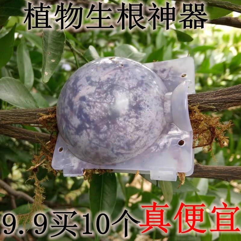 植物高压盒繁殖盒生根球高空压枝盒树木高压生根繁殖器扦插嫁接盒