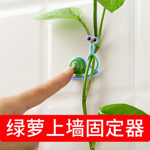 绿箩爬上神器绿植固定夹子爬藤卡子爬墙挂钩免打孔自粘无痕不伤墙