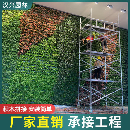 植物墙种植盒垂直立体绿化花盆种植槽户外工程围挡真植物绿植墙