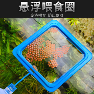 鱼缸喂食器喂鱼神器孔雀鱼漂浮喂食圈丰年虾投食器鱼食投喂器