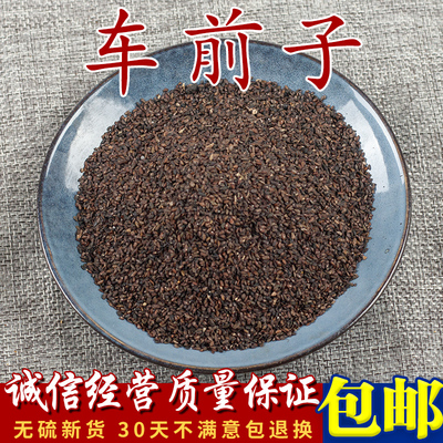 野生特级车前子泡水散装中药材