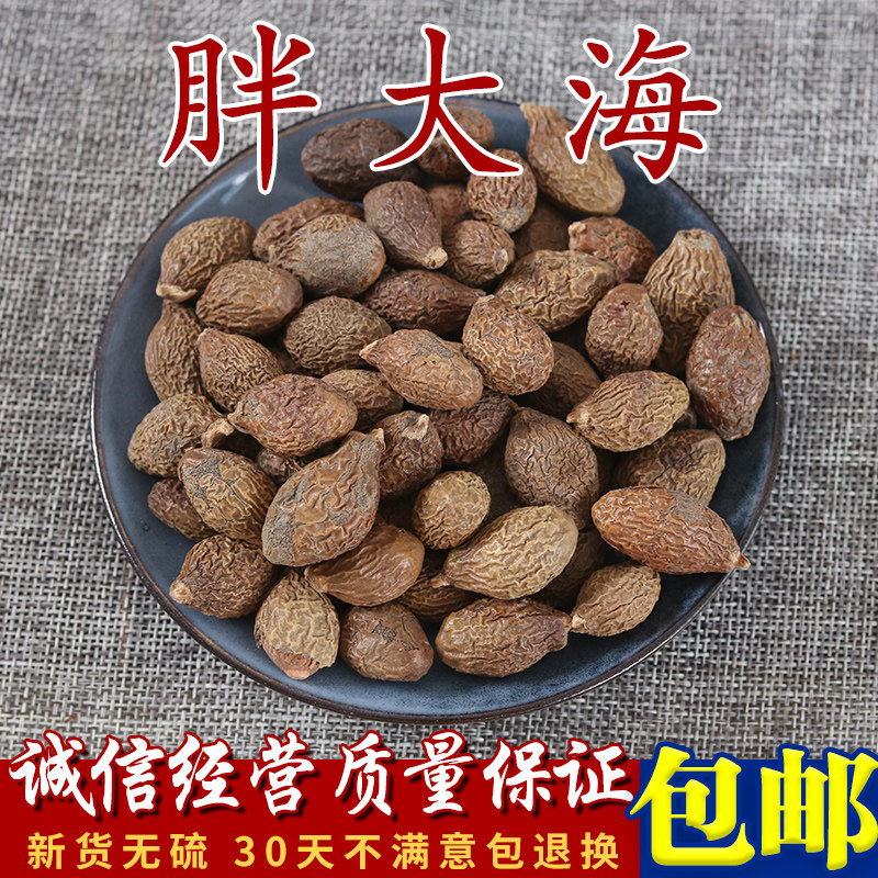 中药材 特.级胖大海 化.痰茶 花草茶胖大海 正宗胖大海 500g 包邮