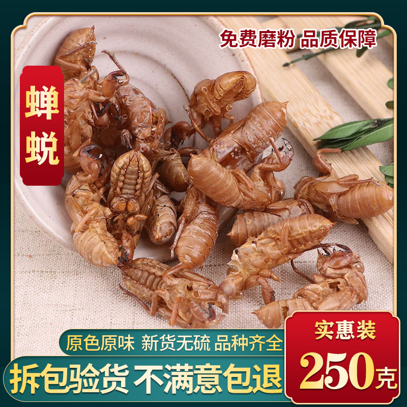野生蝉蜕知了皮中药材