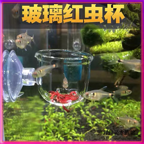 小型神器透明玻璃红虫喂食器鱼缸投食圈冻丰年虾赤虫投喂鱼漂浮杯