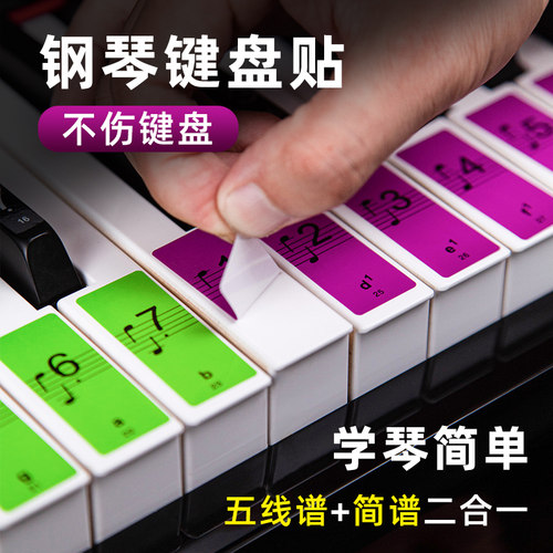 钢琴通用彩色贴纸88键61