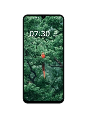 蓝光坚果pro3纳米指纹保护膜原厂