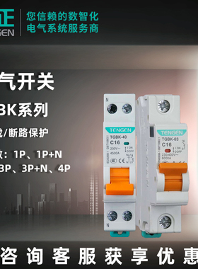 天正电气空气开关小型断路器TGBK-40系列C型空开