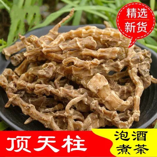 【回春草】顶天柱500g包邮云南不老草硬得快持久泡茶泡酒料起阳草