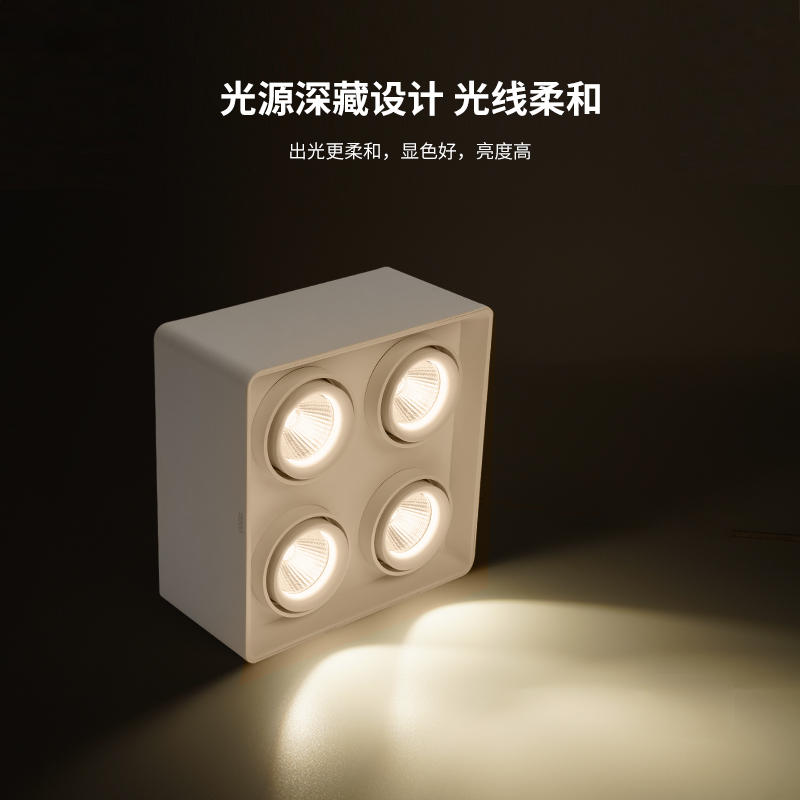 雷士照明无主灯明装筒灯射灯家用斗胆灯防眩射灯客厅卧室灯格栅灯