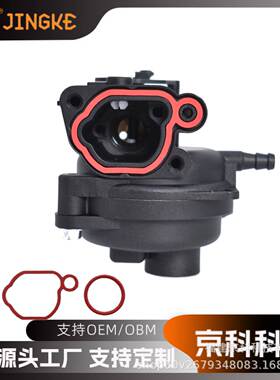 Briggs&Stratton 799583 593261 595656 591979 590556园林化油器