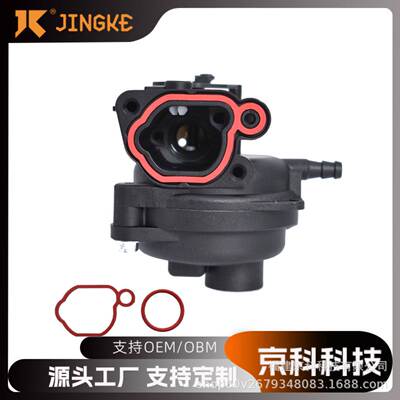 Briggs&Stratton 799583 593261 595656 591979 590556园林化油器